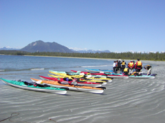 Sea Kayak Tours in Clayoquot Sound