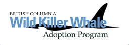 British Columbia Wild Killer Whale Adoption Program